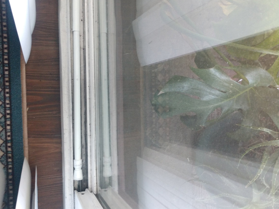 The Patriots Boutique Motel主图