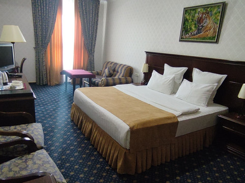 胜利大酒店主图