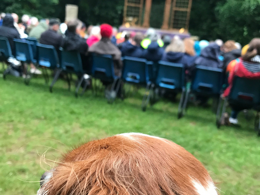 Penlee Park Open Air Theatre景点图片