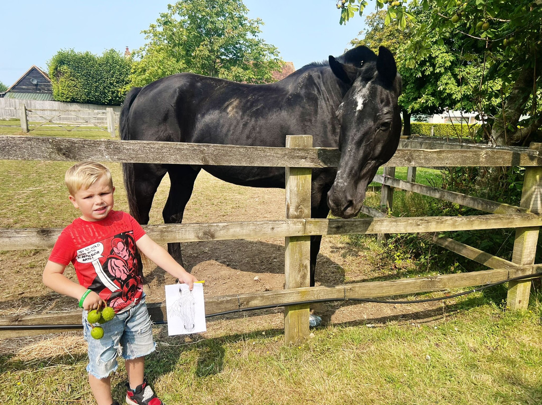 The Horse Trust景点图片