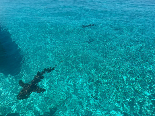 Aquadisiac Adventures-大埃克苏马必去景点