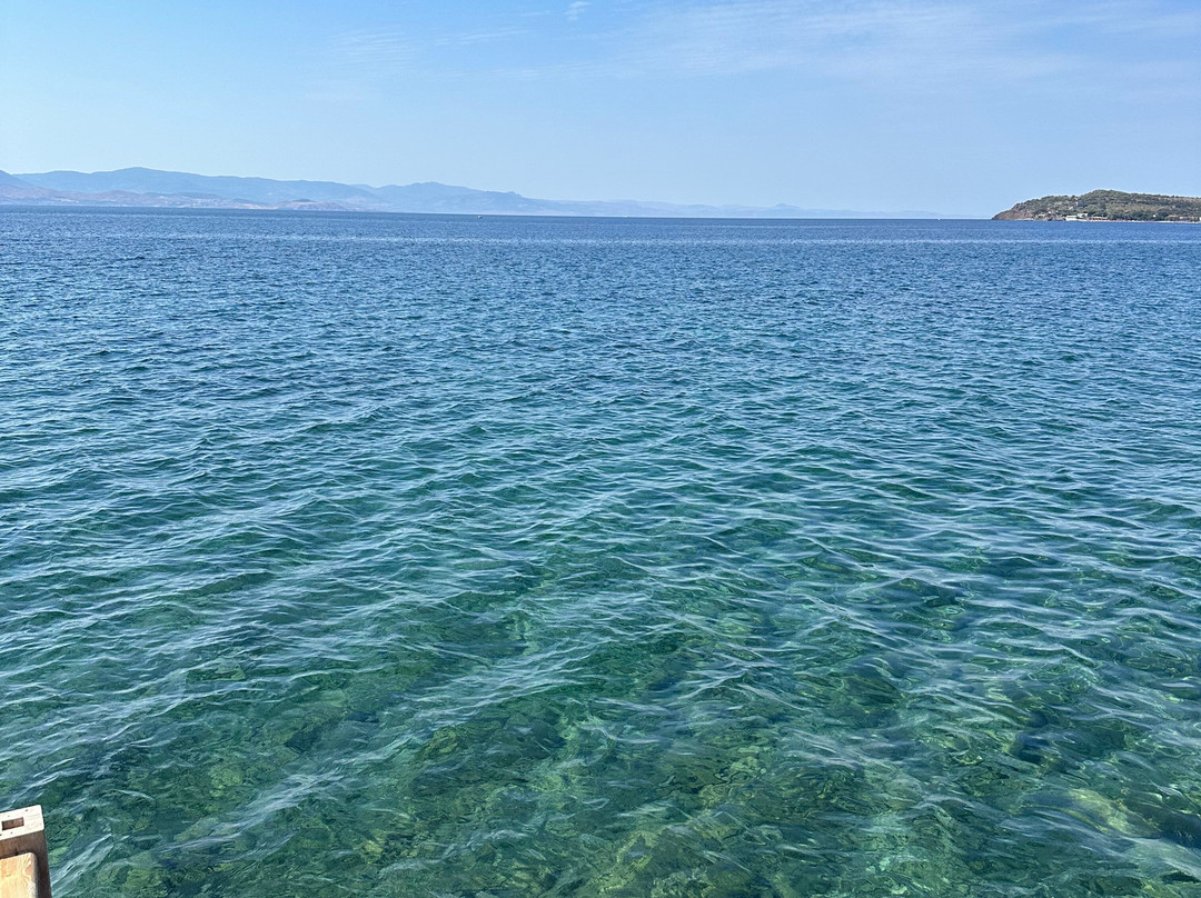 Assos Dionysos Hotel主图