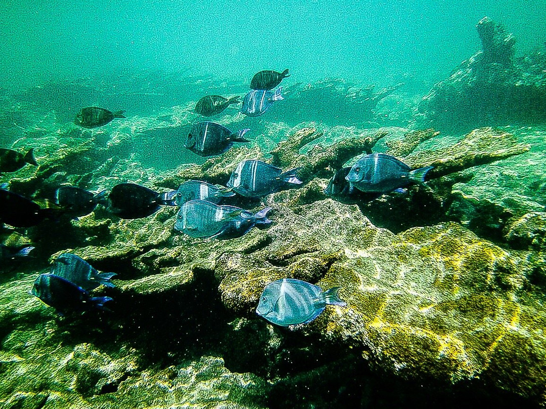 Steps Beach-吕康必去景点