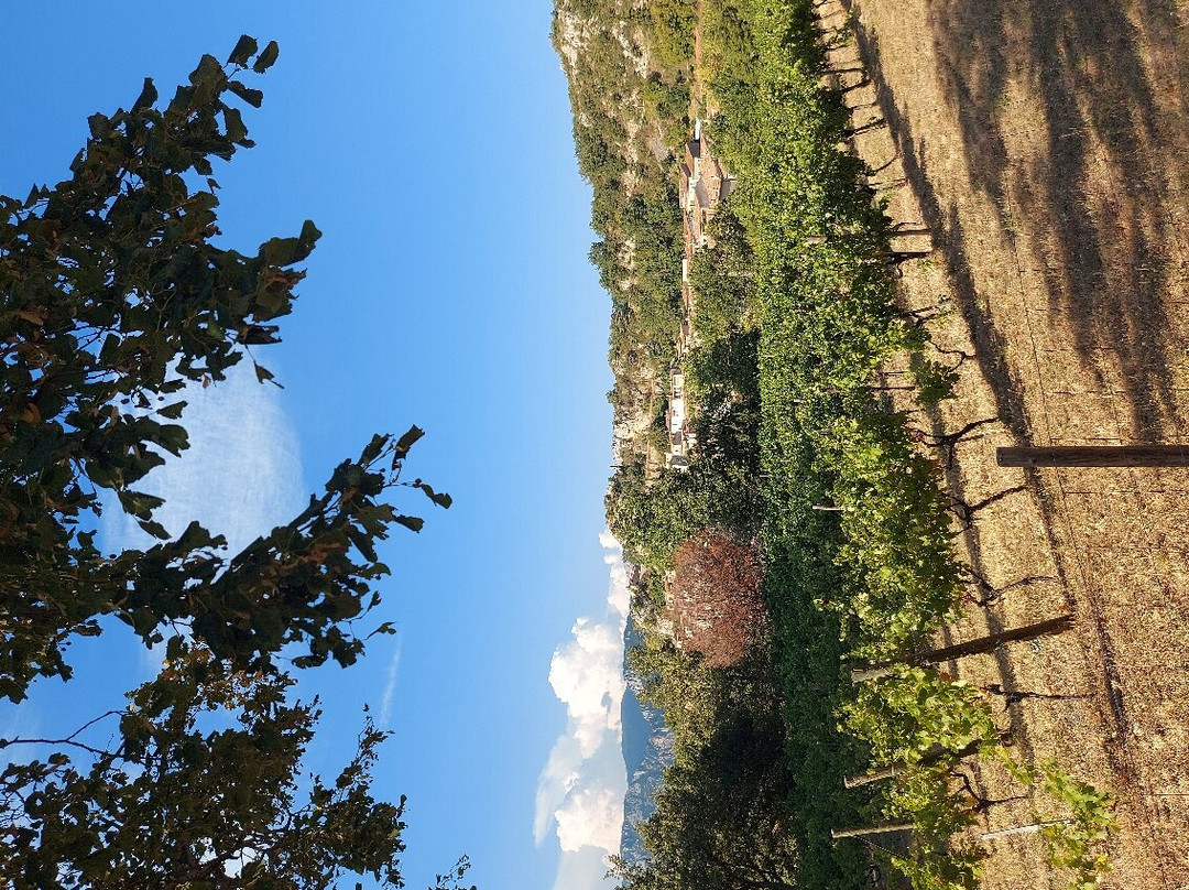 Chateau d'Aiguines景点图片