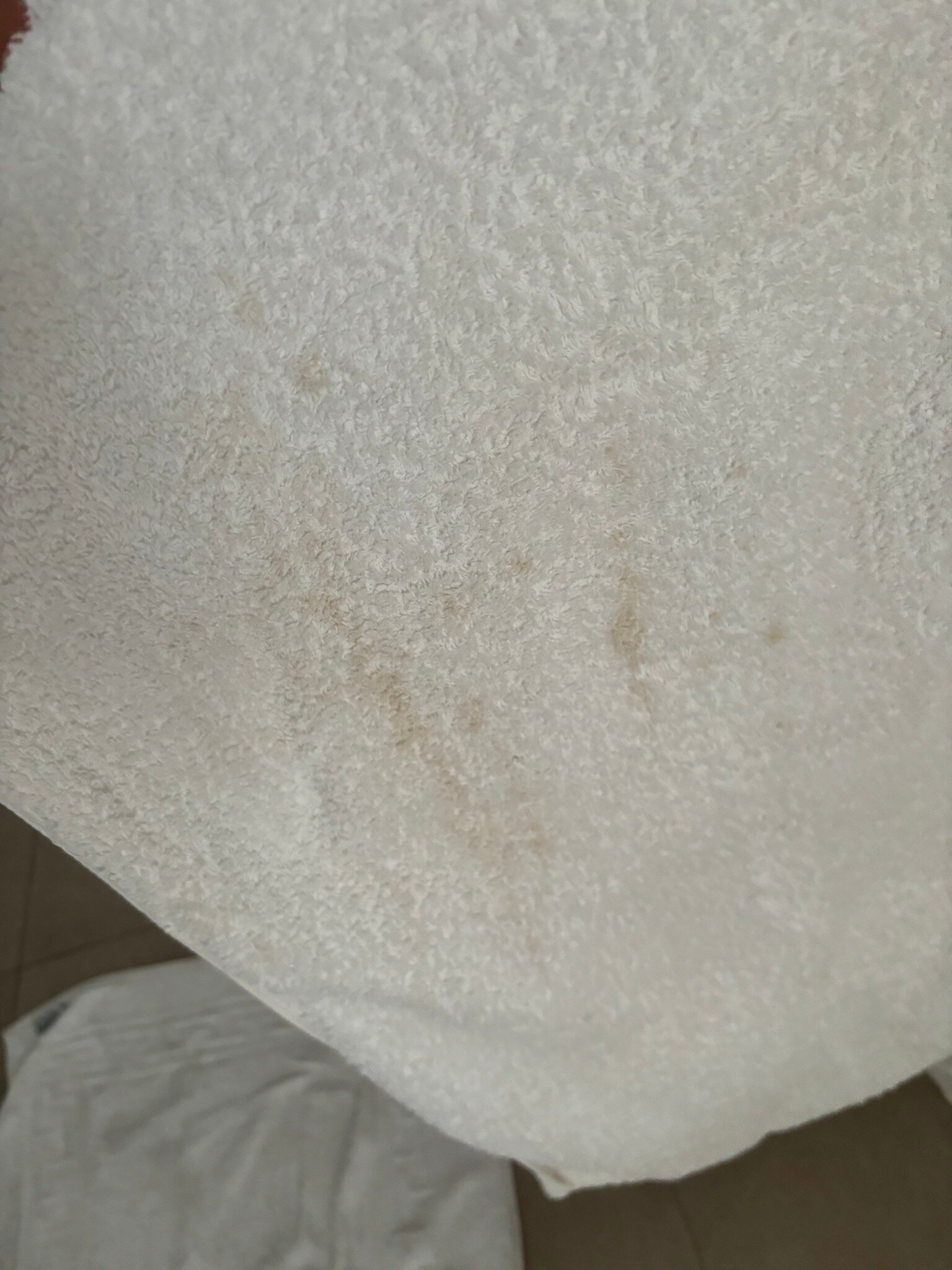 Hotel Maison Carrée-官方