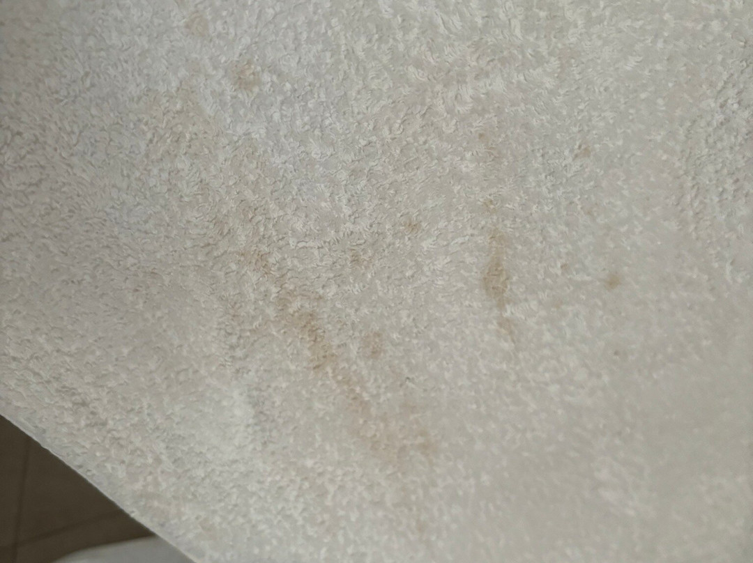 Hotel Maison Carrée主图