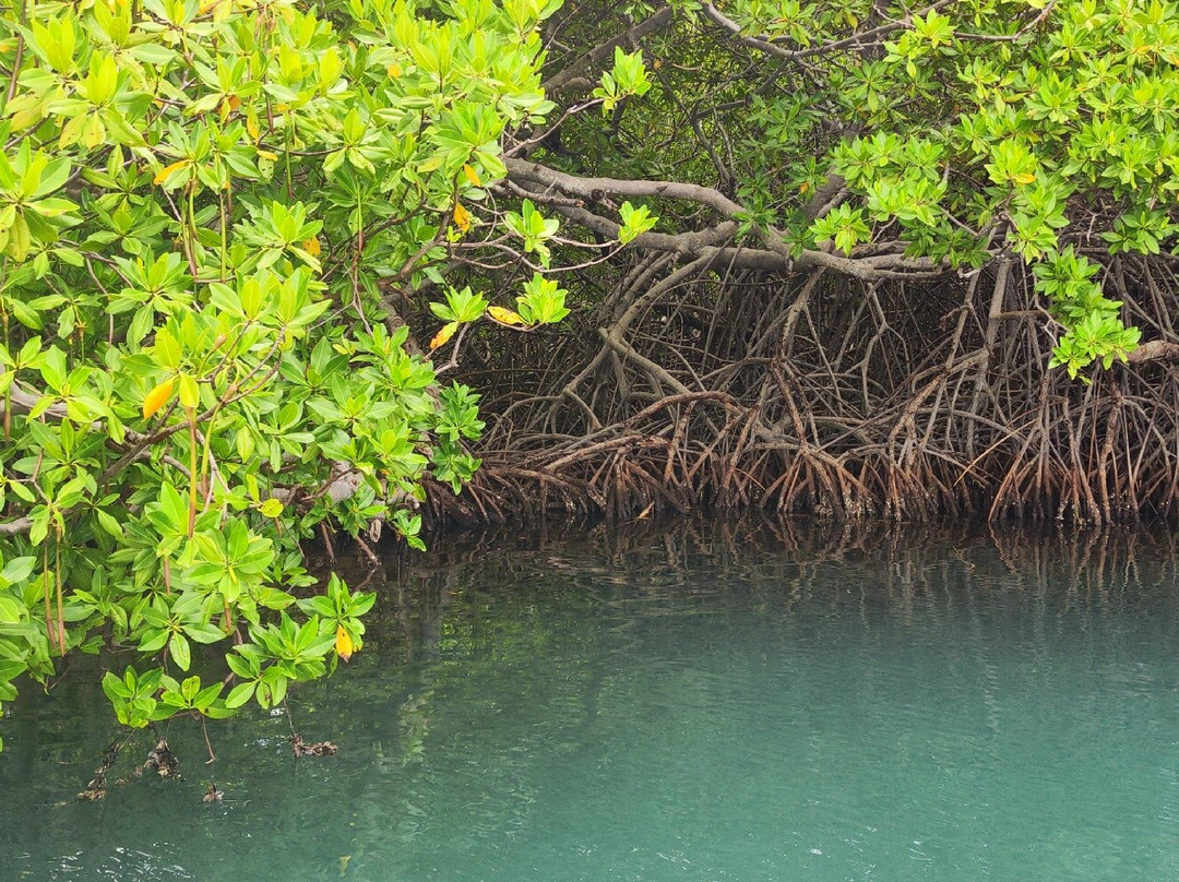 Privilèg'G-Le Francois必去景点