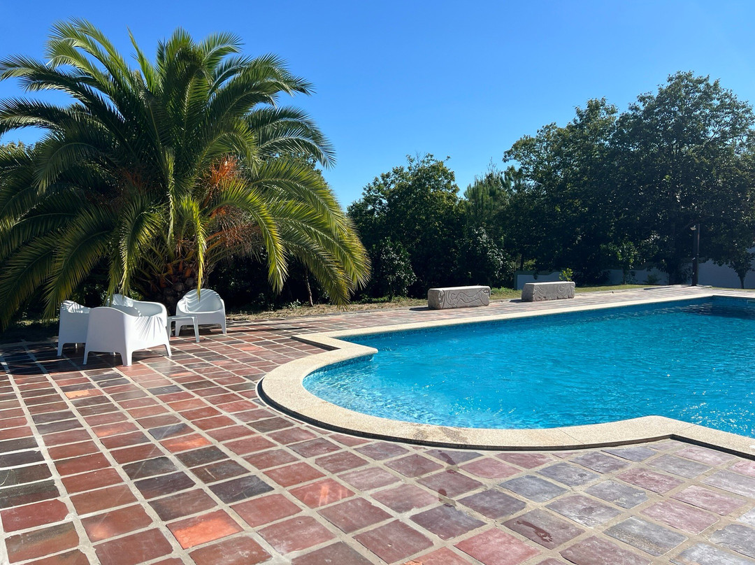 Quinta De Mocamedes主图