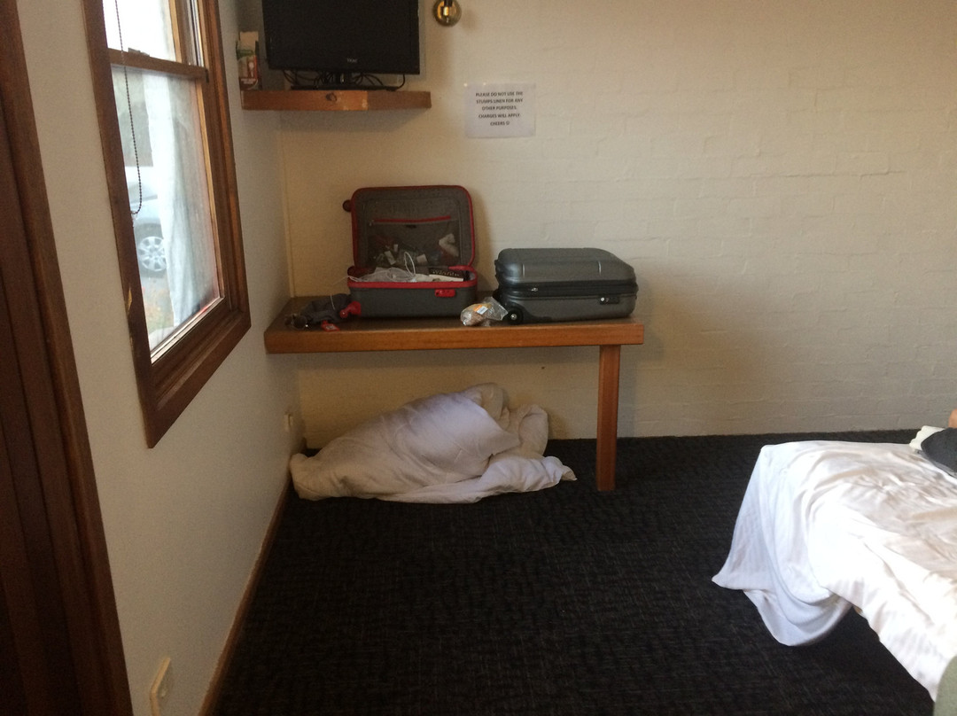 Caledonian Inn Motel主图