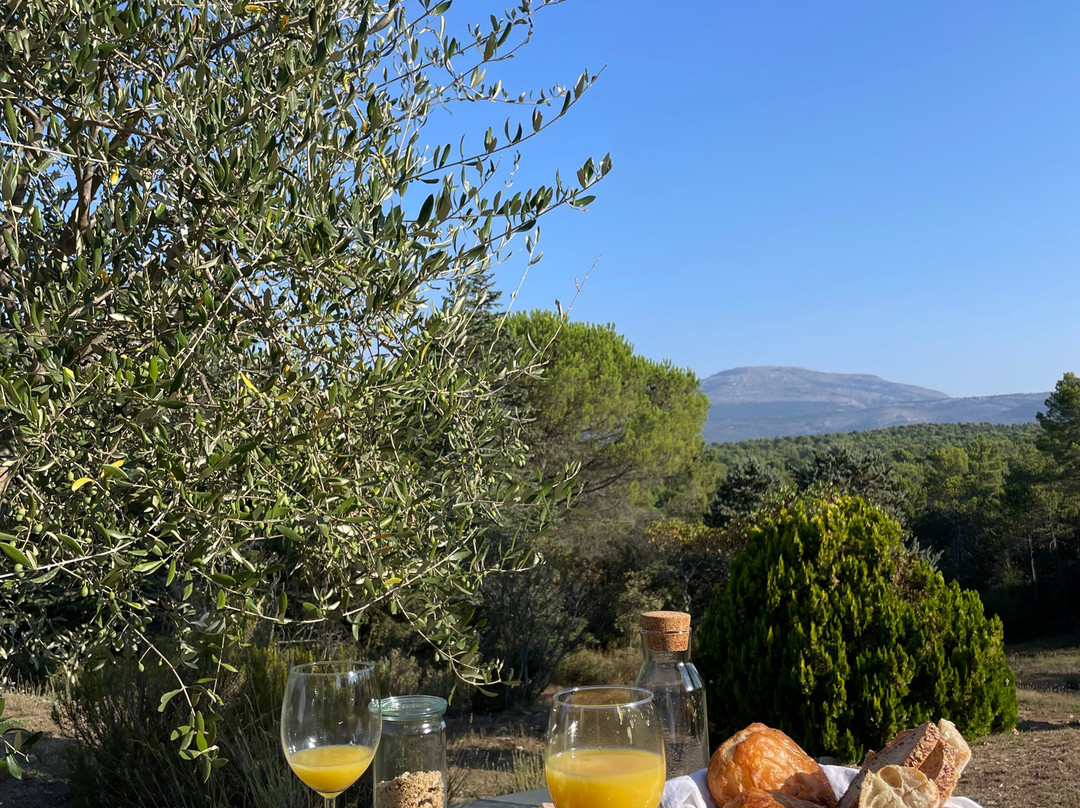 Domaine de la Xavoliere