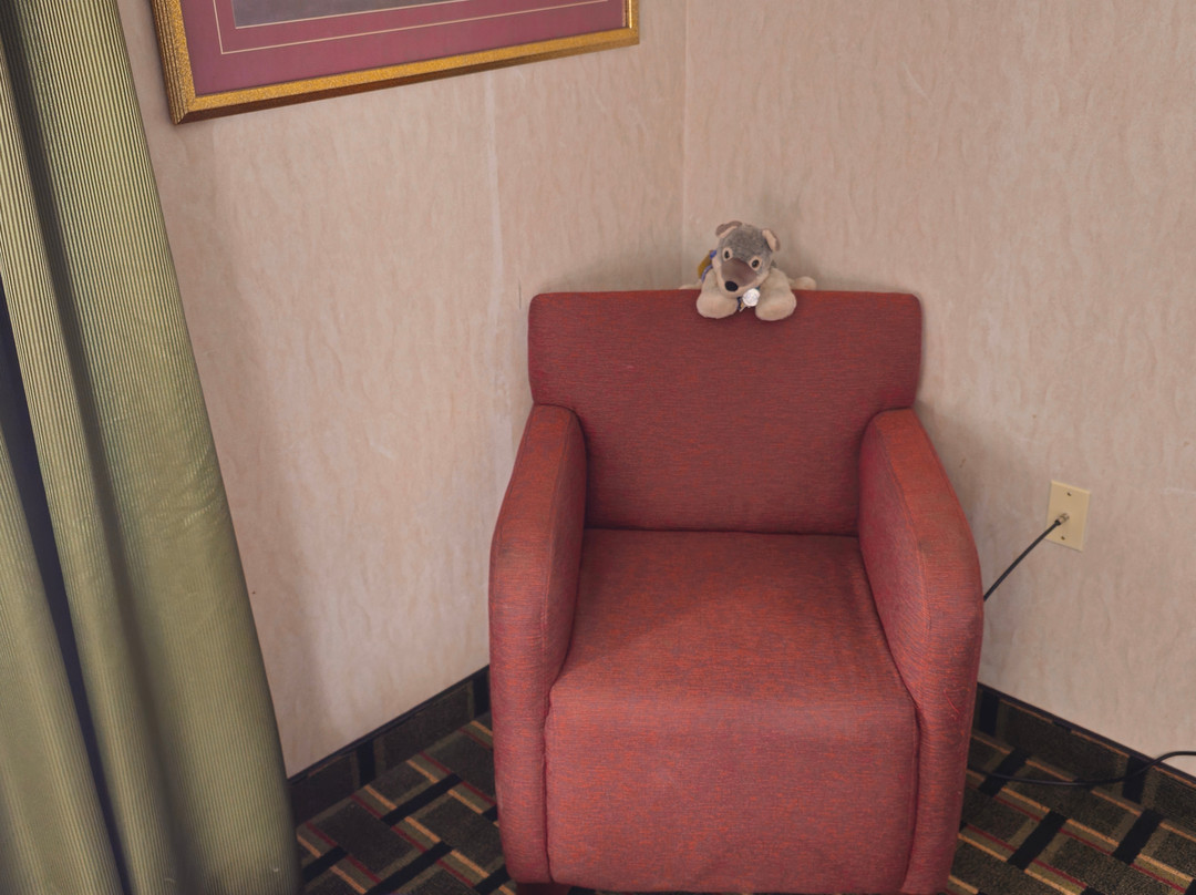 拉顿品质酒店主图