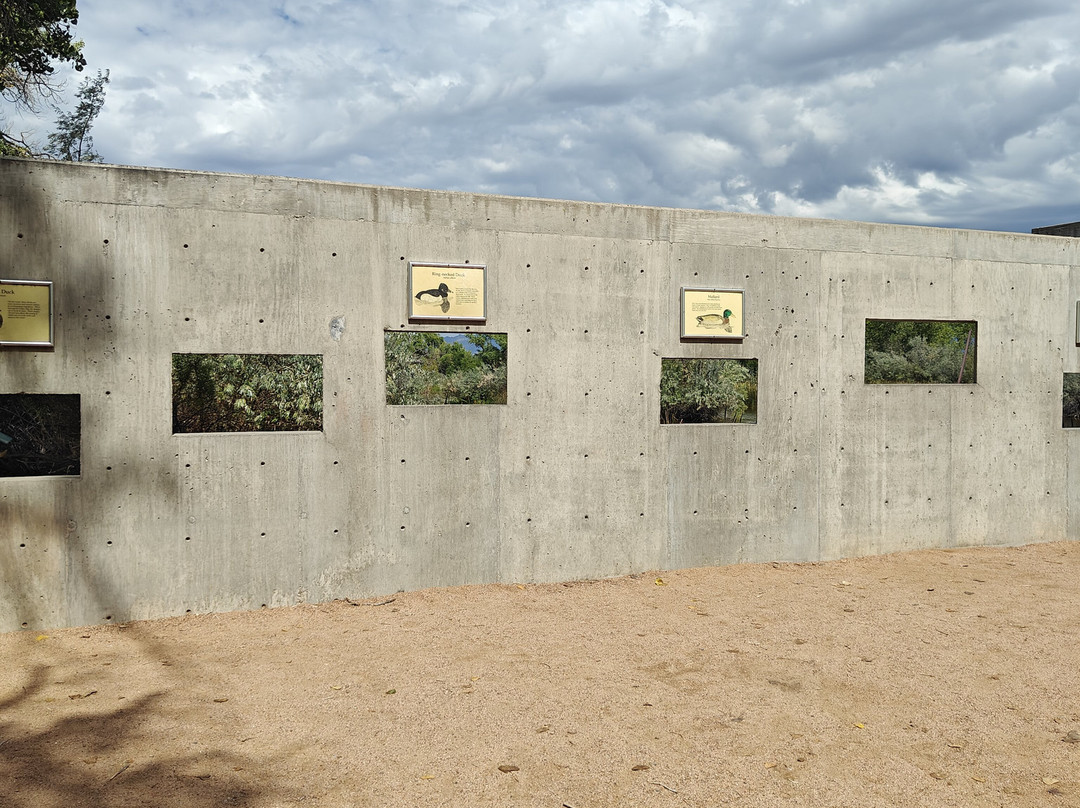 Rio Grande Nature Center State Park-阿尔伯克基必去景点