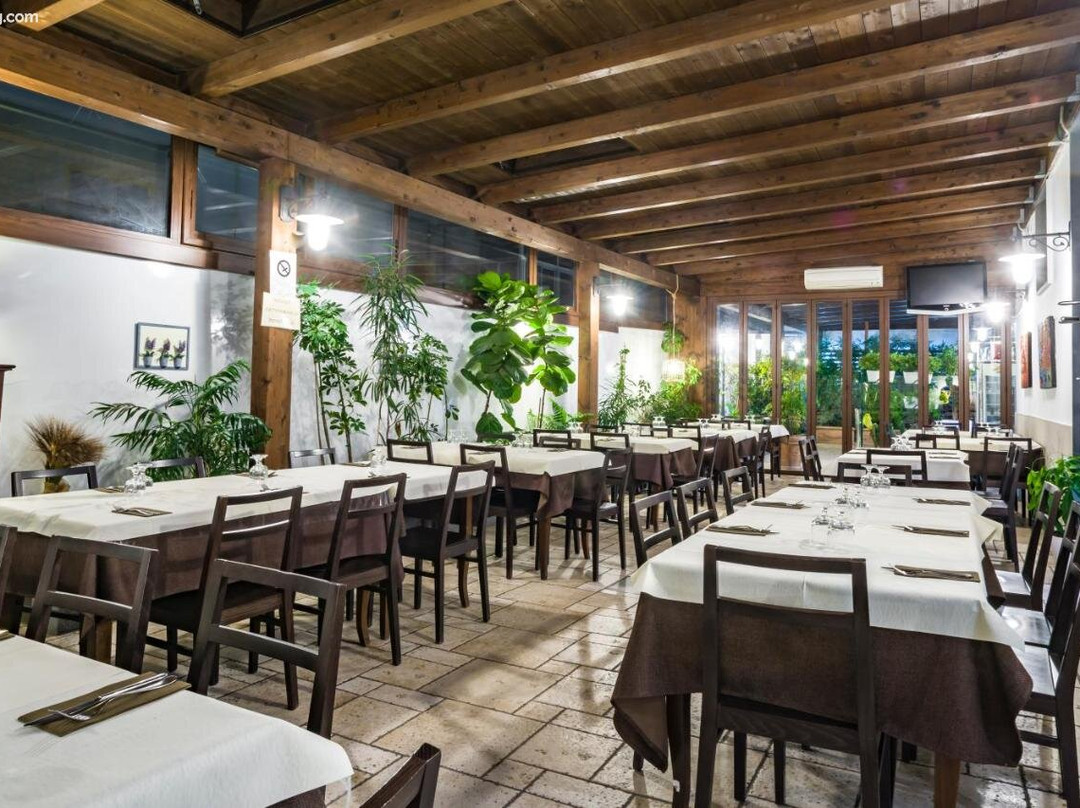 Hotel New Bari主图