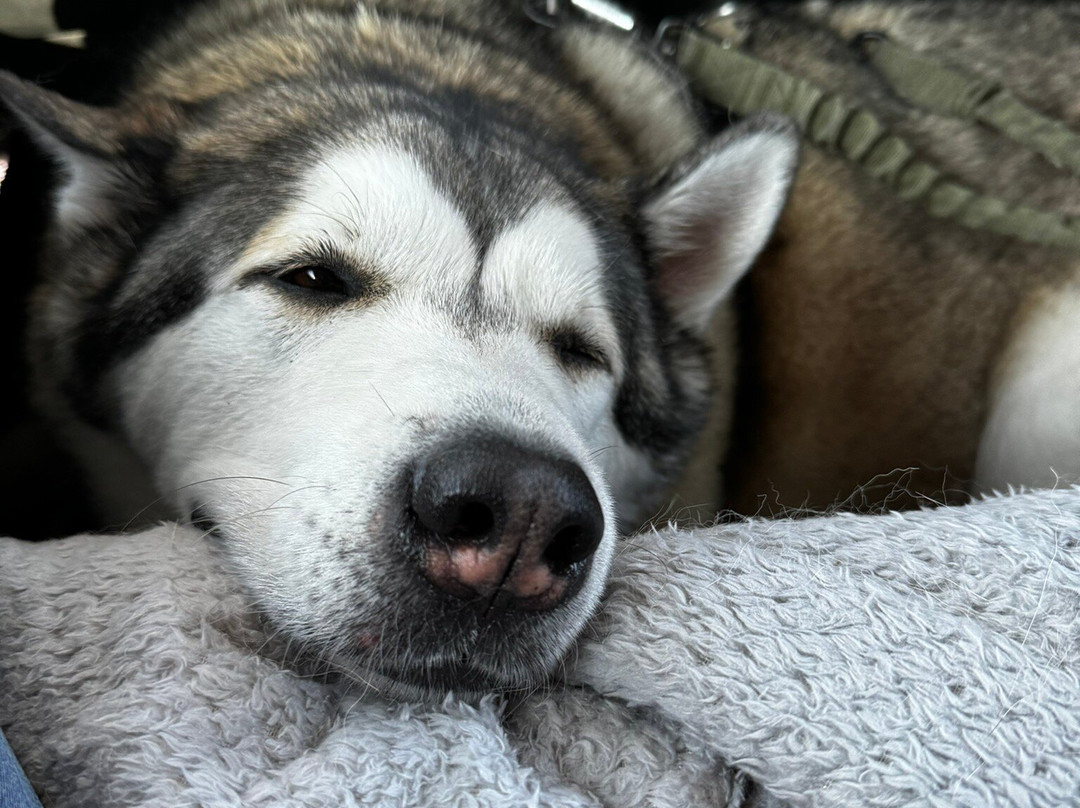 Ali Baba Cabs-诺丁汉必去景点