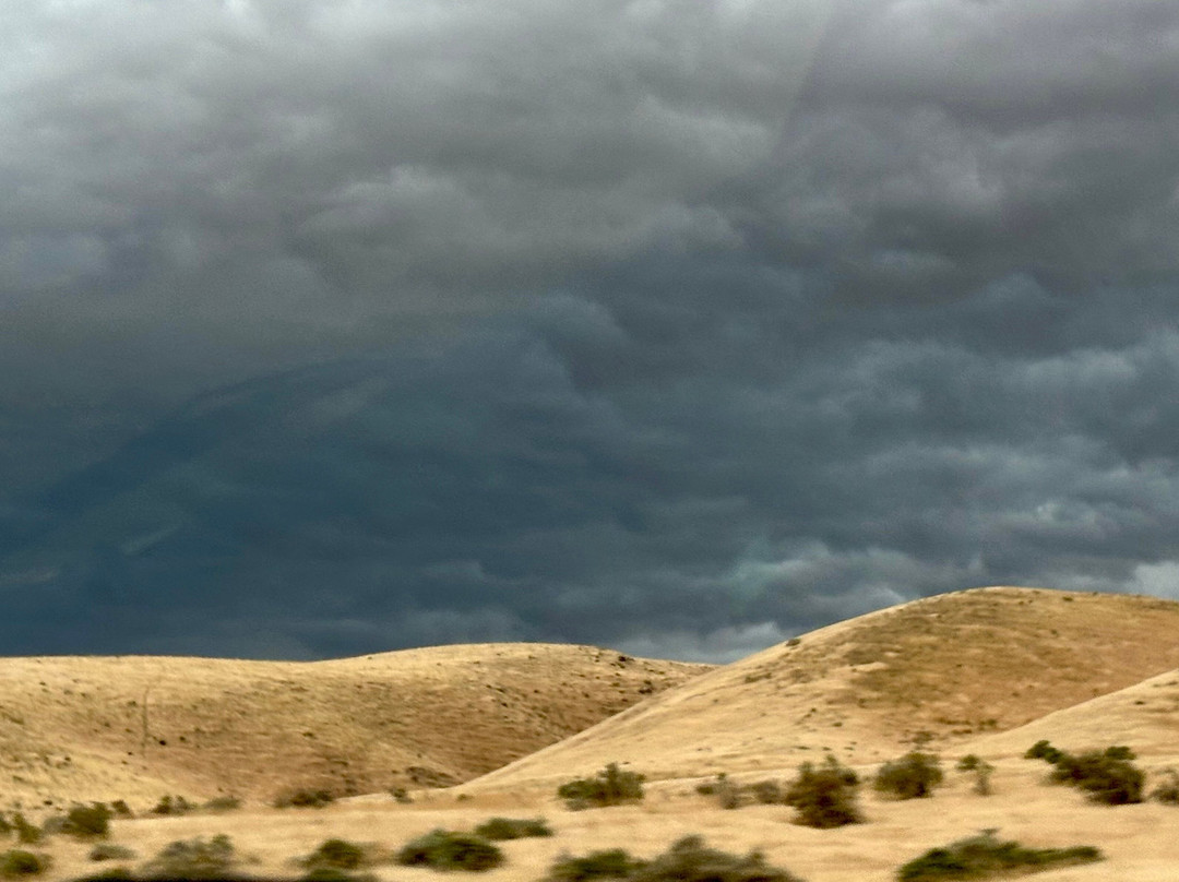 Bruneau Dunes State Park景点图片