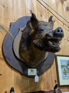 Antiques USA-Arundel必去景点