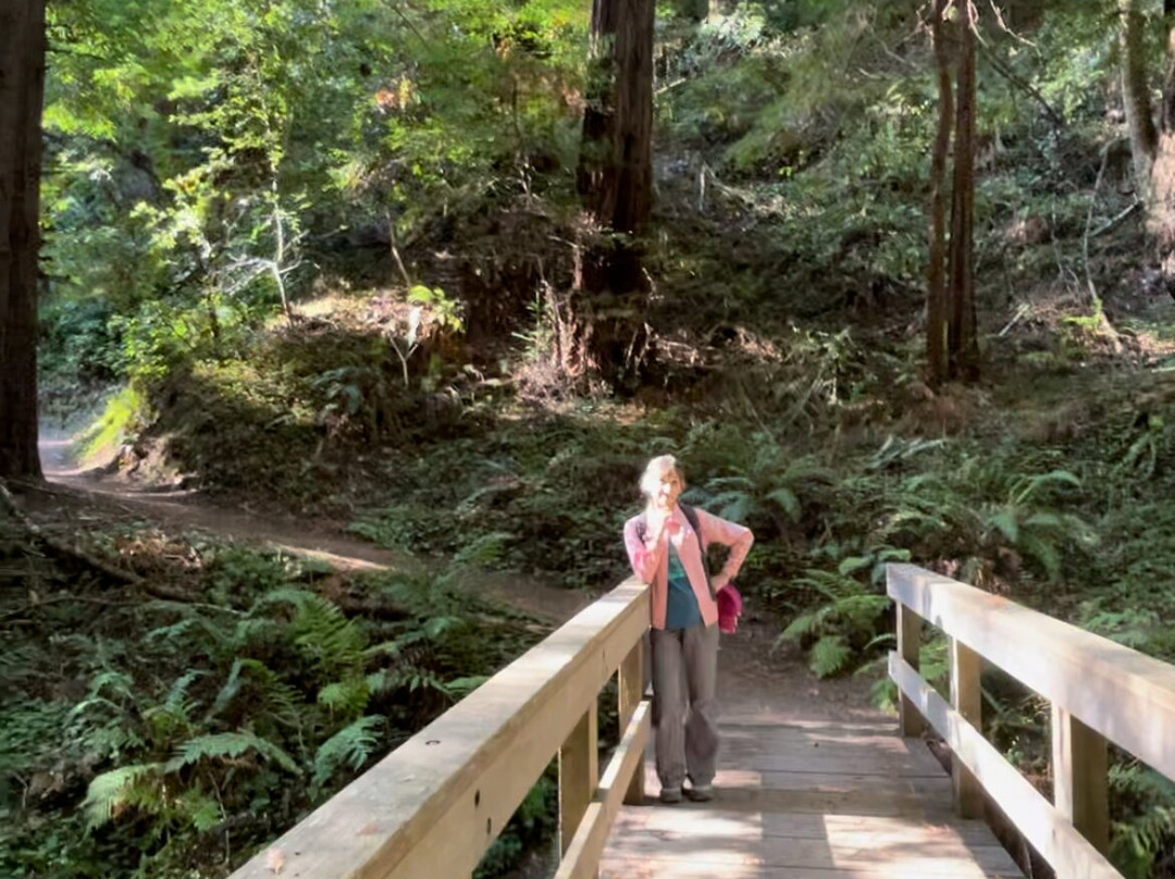 Purisima Creek Redwoods-Woodside必去景点