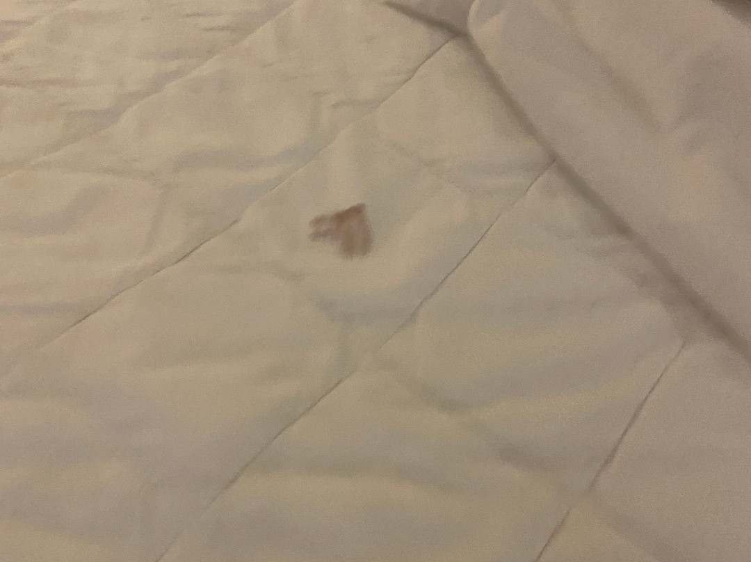 Monte Carlo Inn - Brampton Suites主图