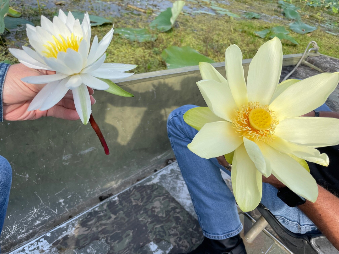 Billy Carter's Go-Devil Tours-Uncertain必去景点