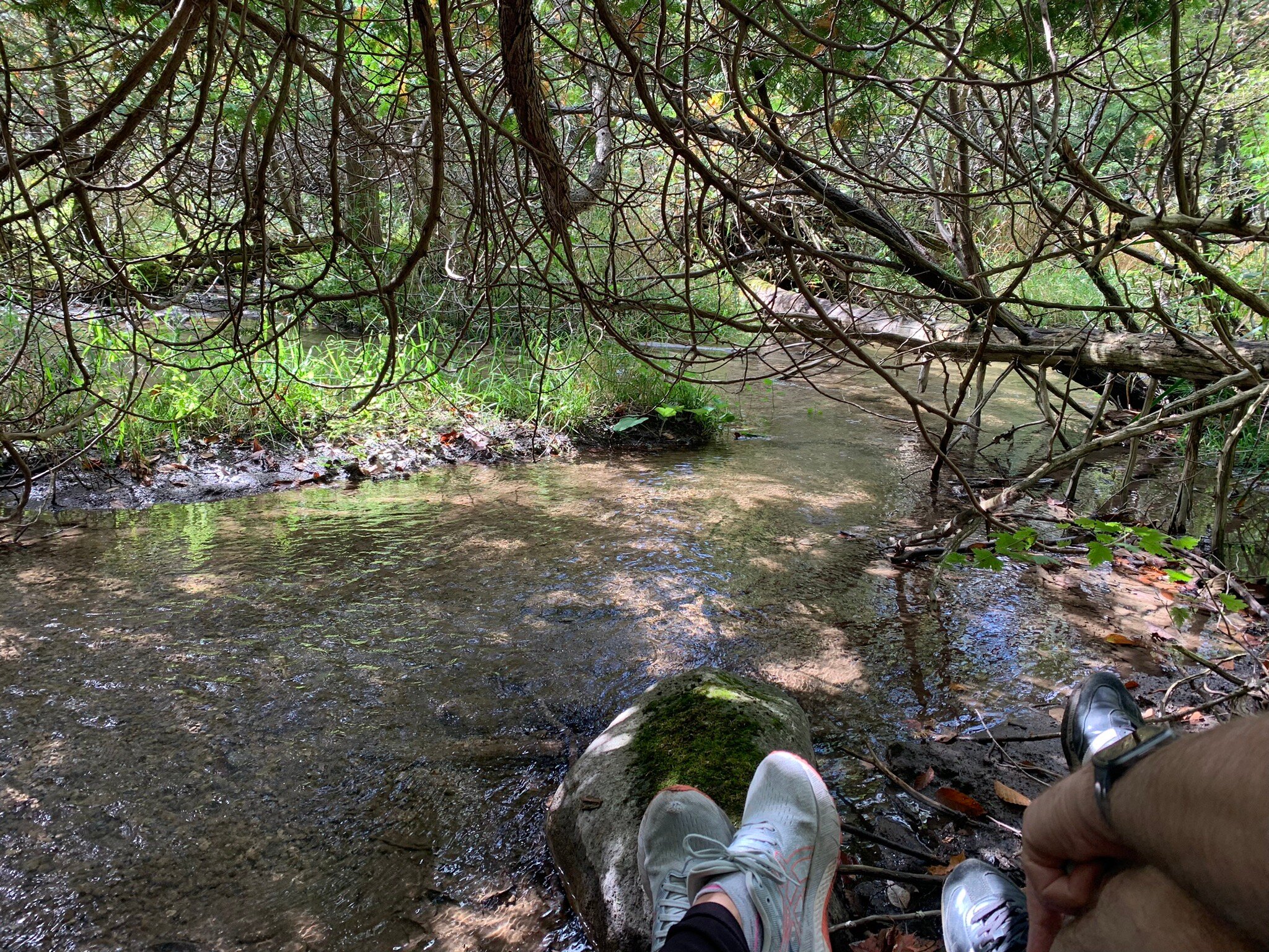 The Falls Inn & Spa-官方