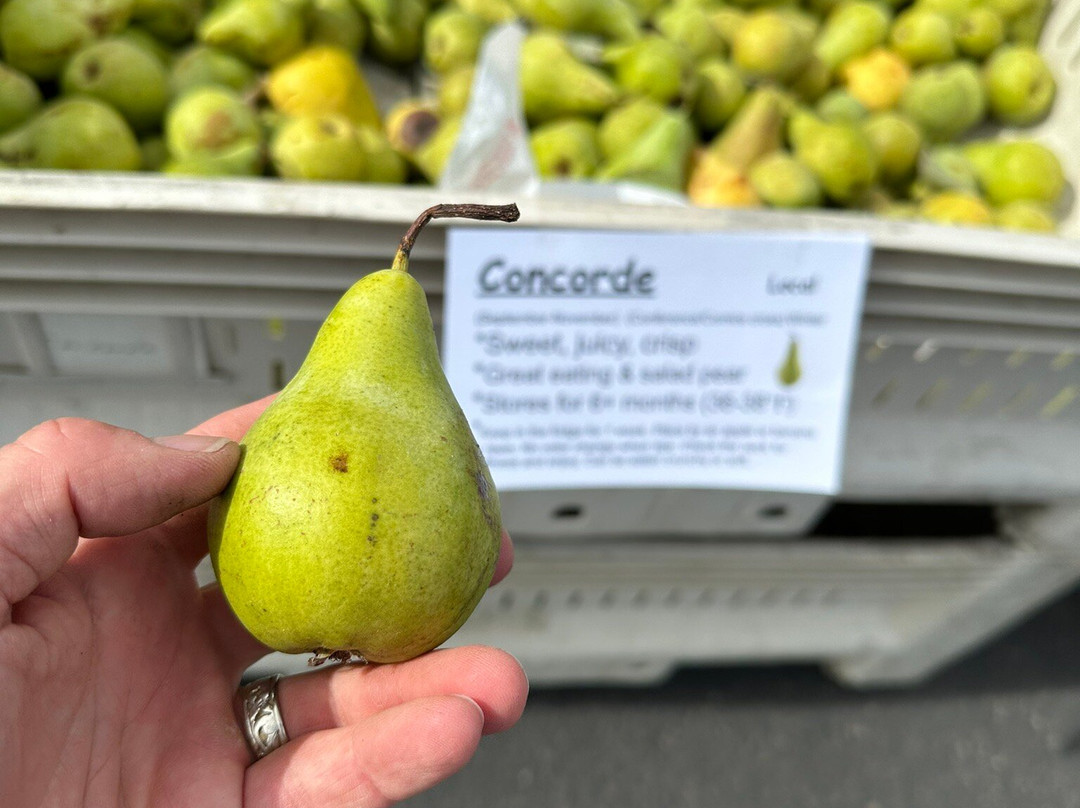 Sol Rides-胡德里弗必去景点