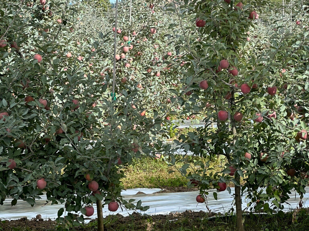 Sol Rides-胡德里弗必去景点