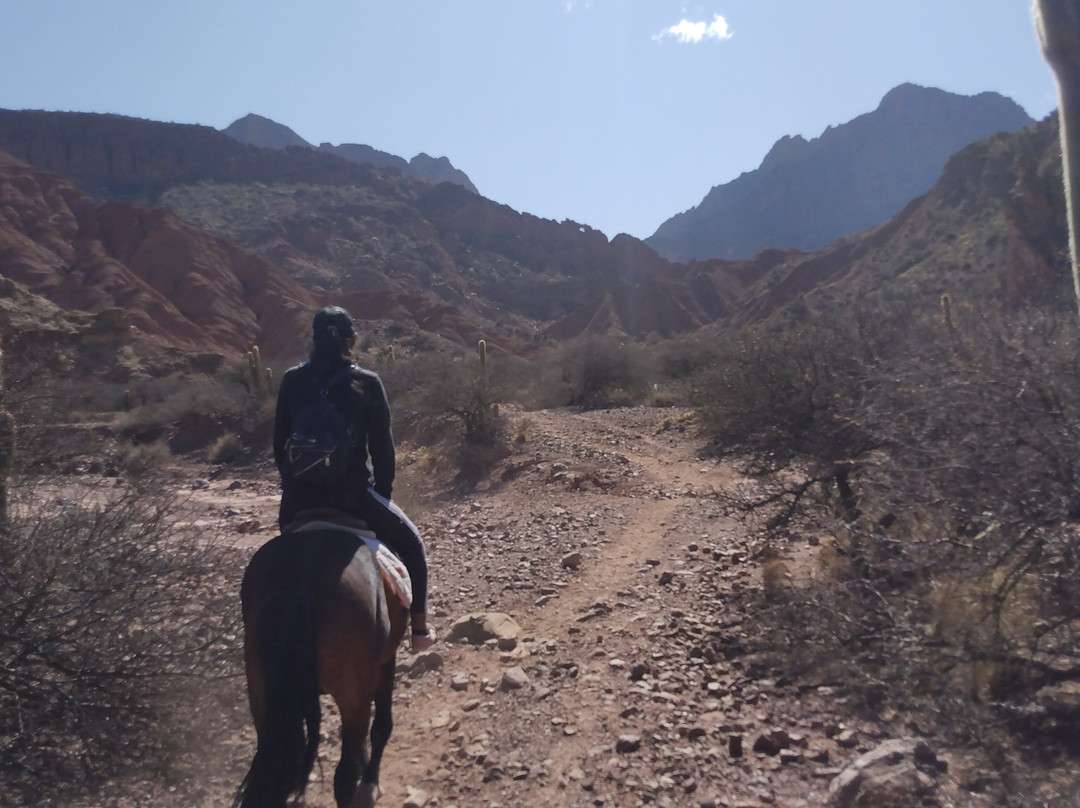 Valle Hermoso Tours-Tupiza必去景点