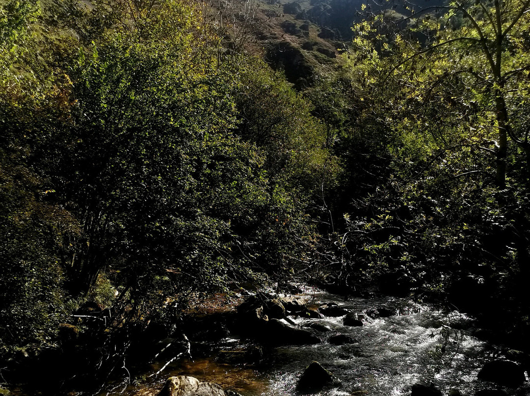 Ruta Del Alba景点图片