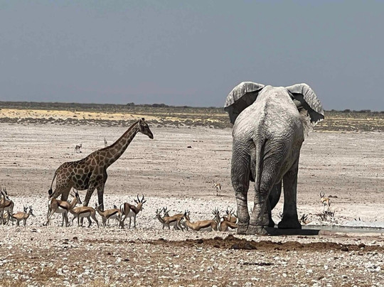Ross Willows, Bespoke Travel-德班必去景点