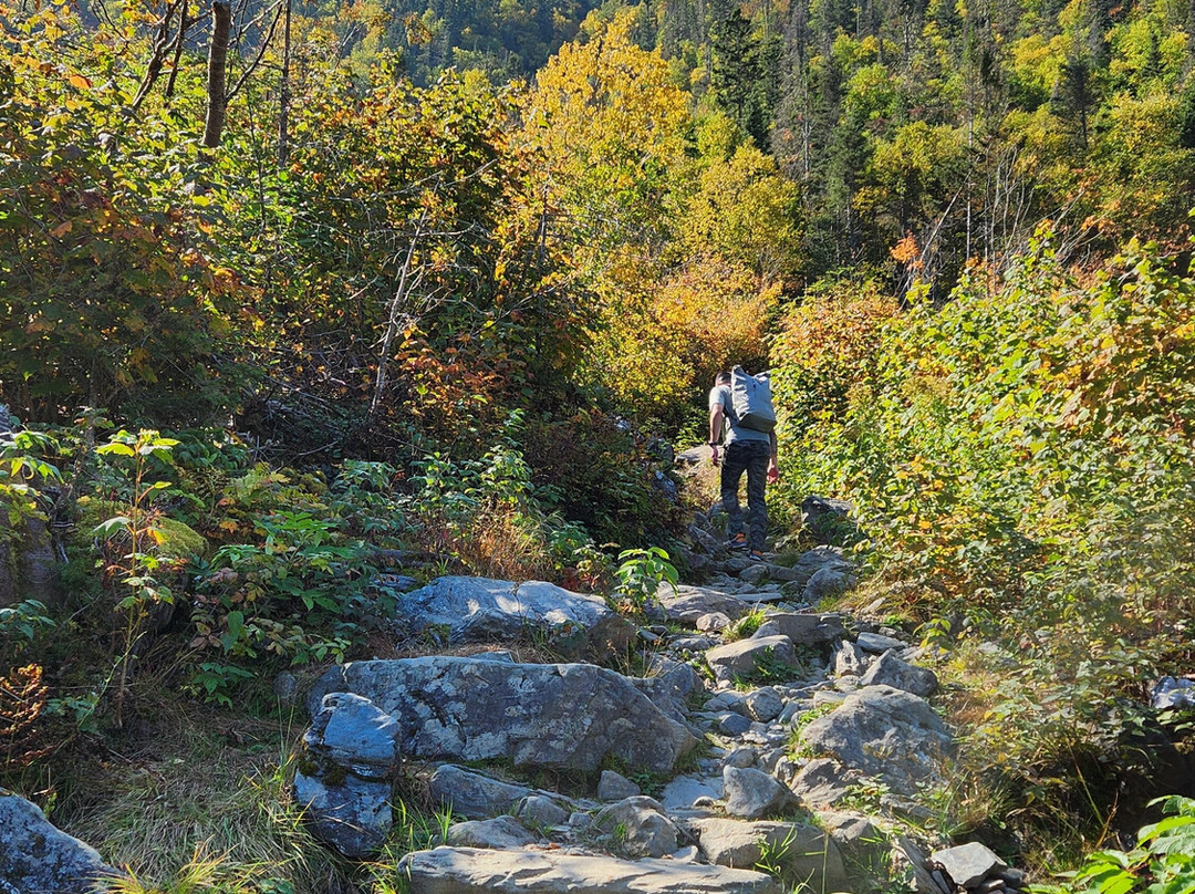 Parc National de la Gaspesie景点图片