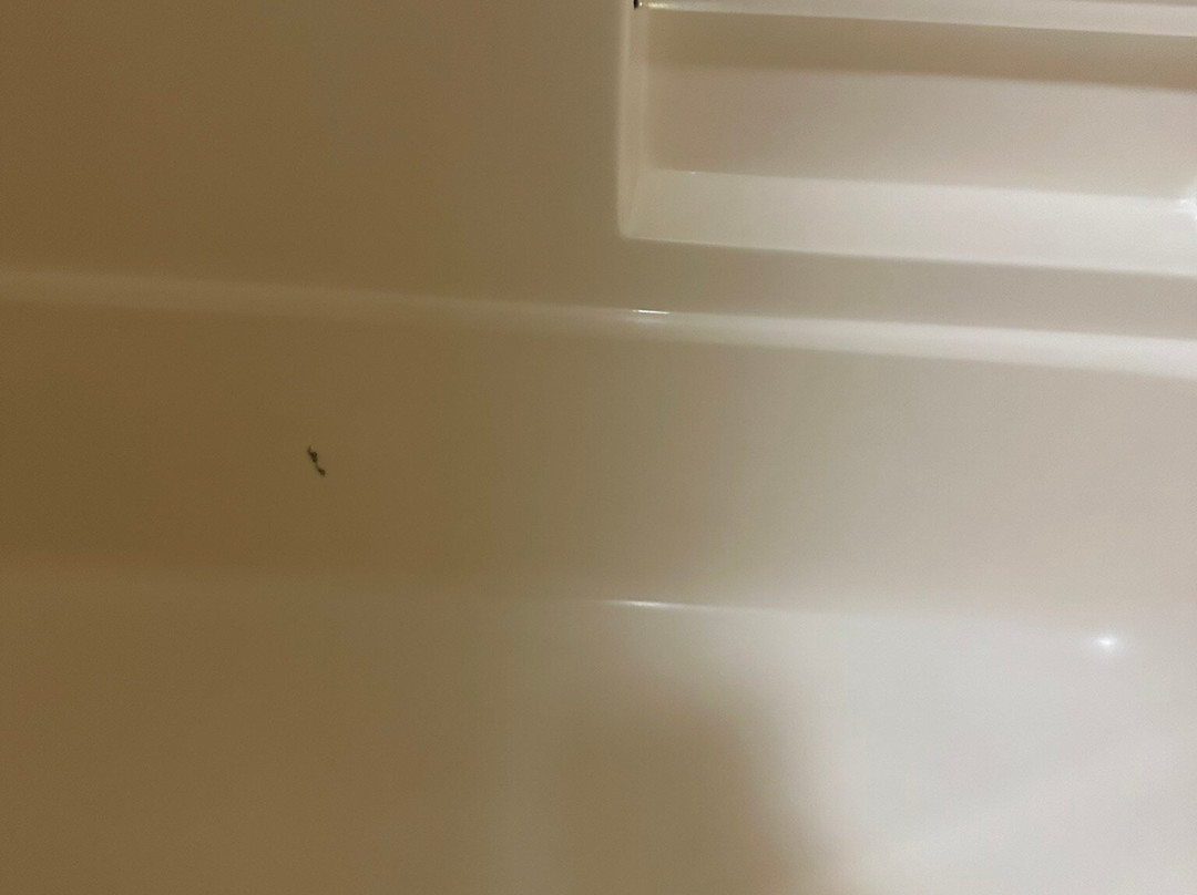 Quality Inn O'Fallon I-64主图