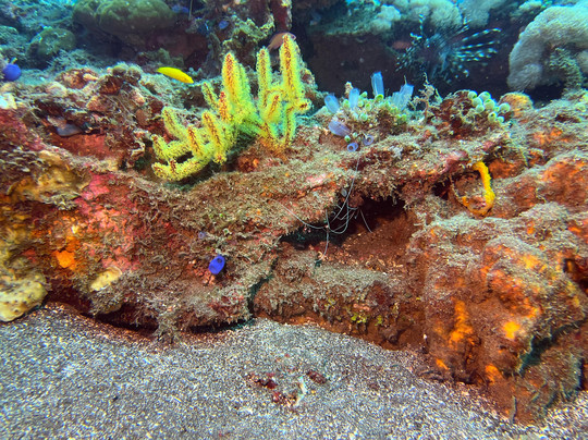 The Faroe Islands Aquarium-托沙文必去景点