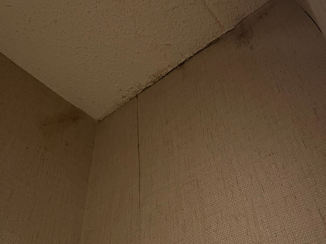 Comfort Inn & Suites主图