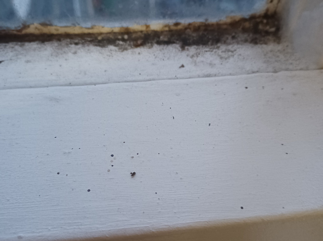 The Eagles Hotel主图