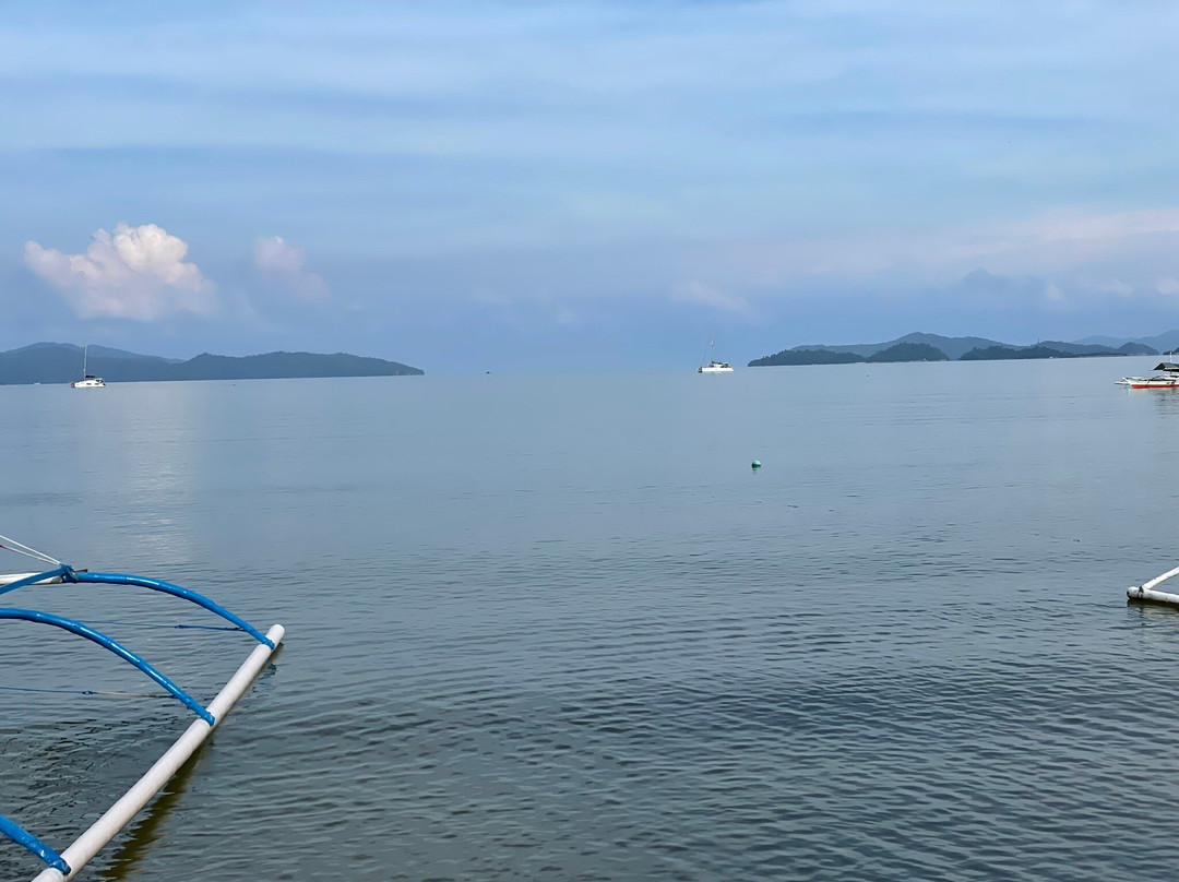 Theresa's Pension House