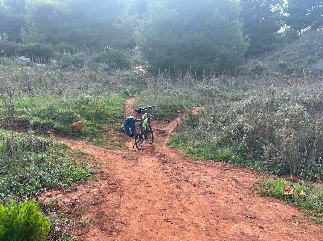 Apulia Bike Tours景点图片