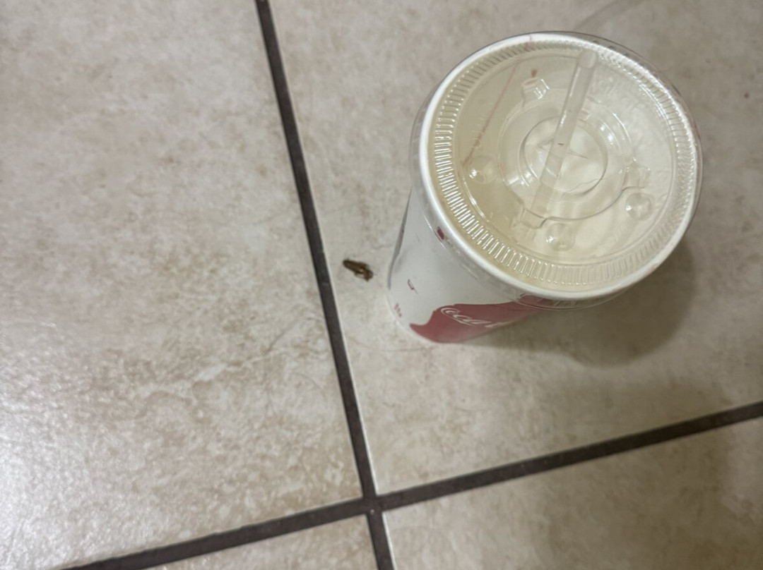 Rodeway Inn Winslow I-40主图