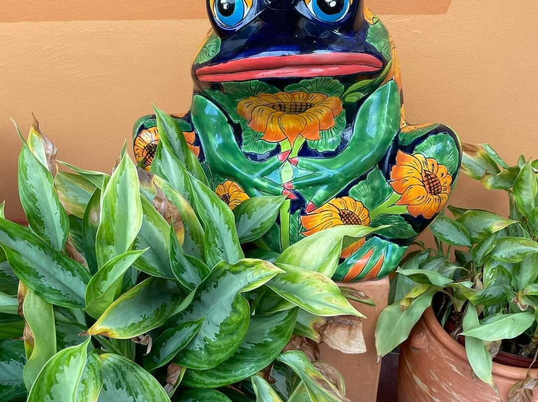 Blue Seas Courtyard主图