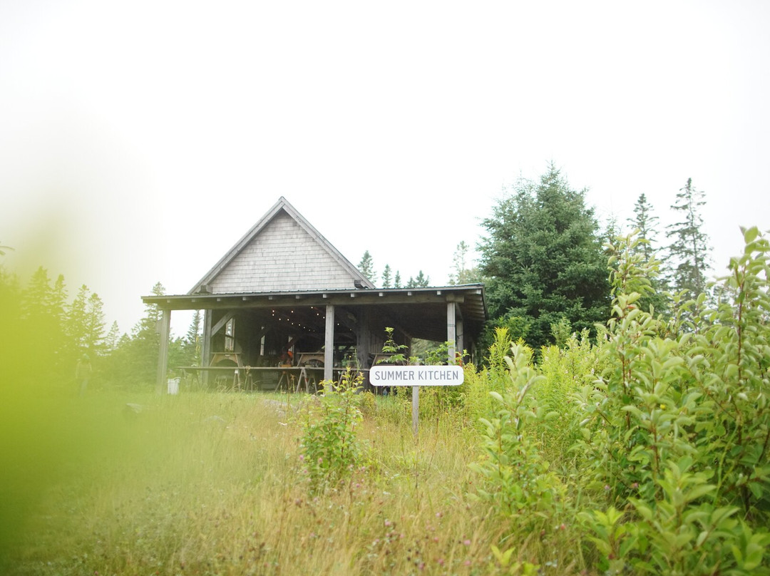 Smithereen Farm Blueberry Land Camping