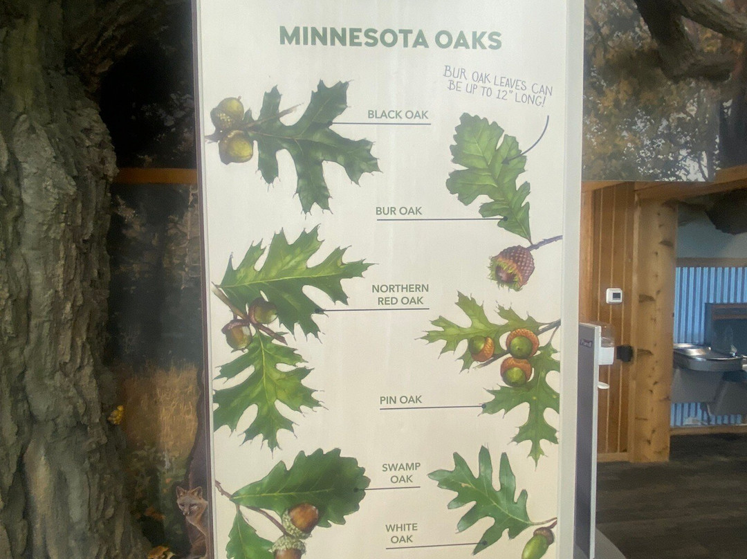 Quarry Hill Nature Center-罗切斯特必去景点