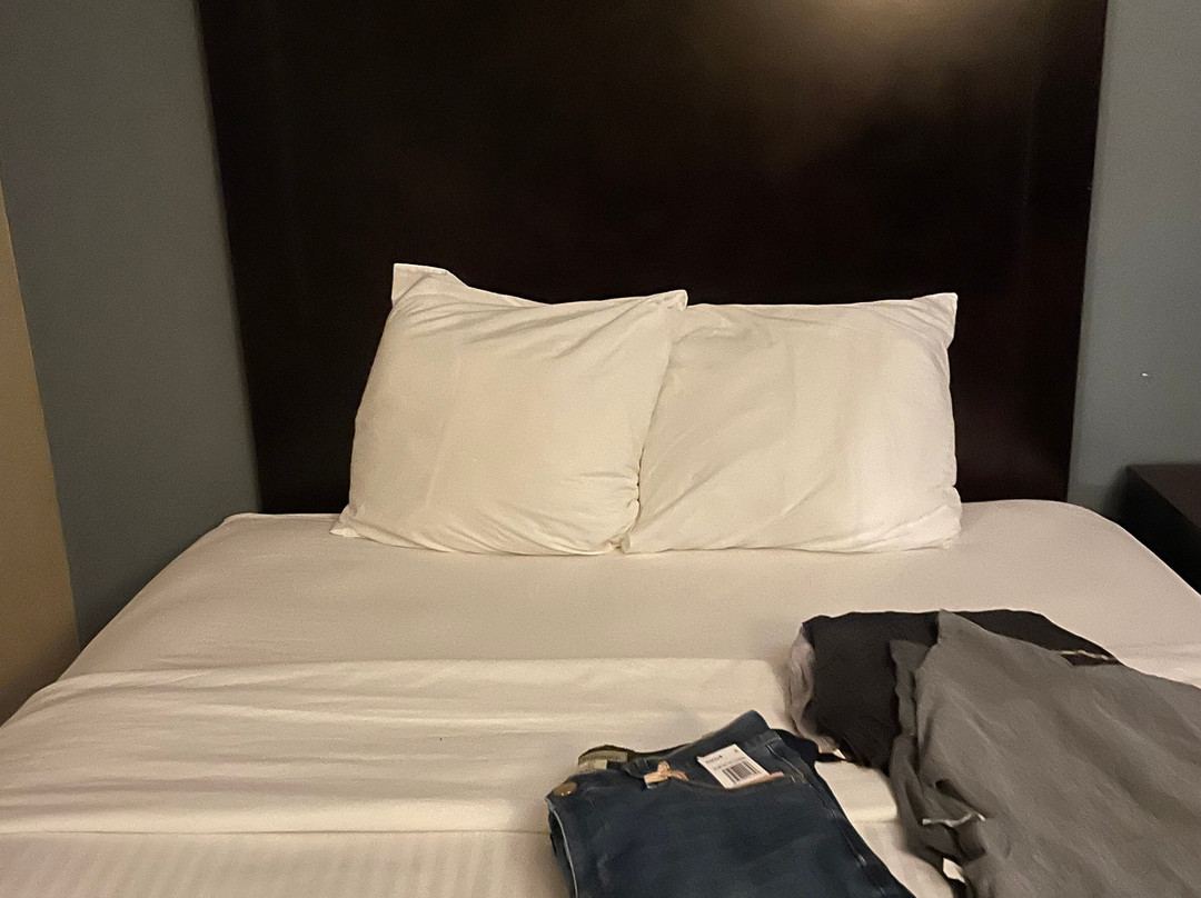 博柔温德姆花园酒店主图