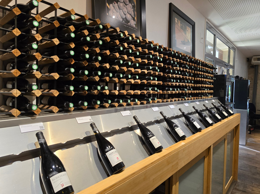 Domaine Famille Picard-Chassagne-Montrachet必去景点