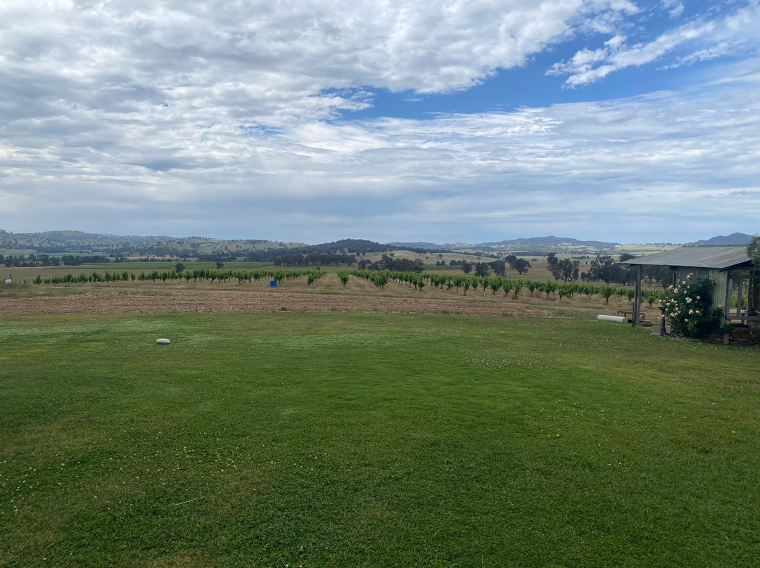 Lowe Wines-马奇必去景点