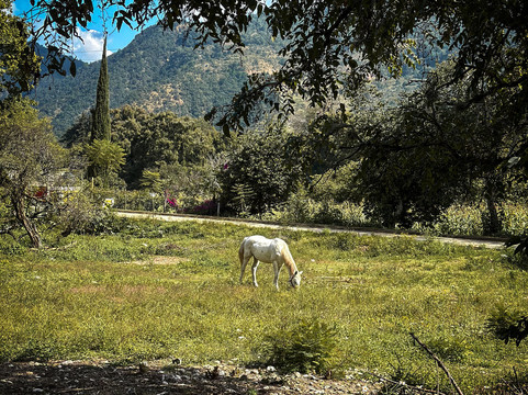 Go Well Tours-瓦哈卡必去景点