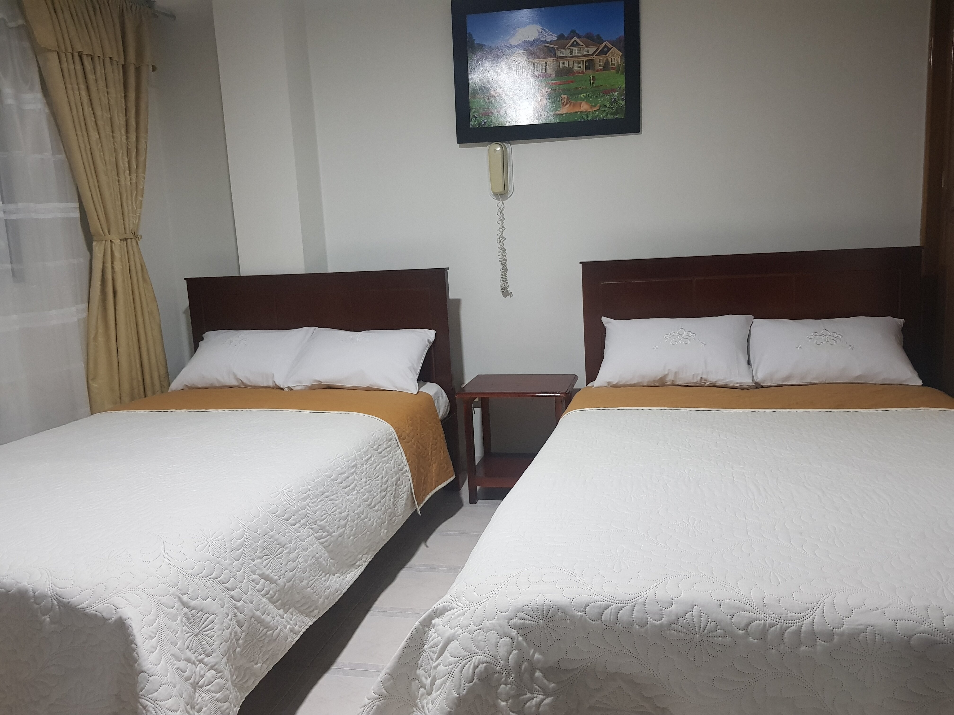 Hotel Venecia-客卧