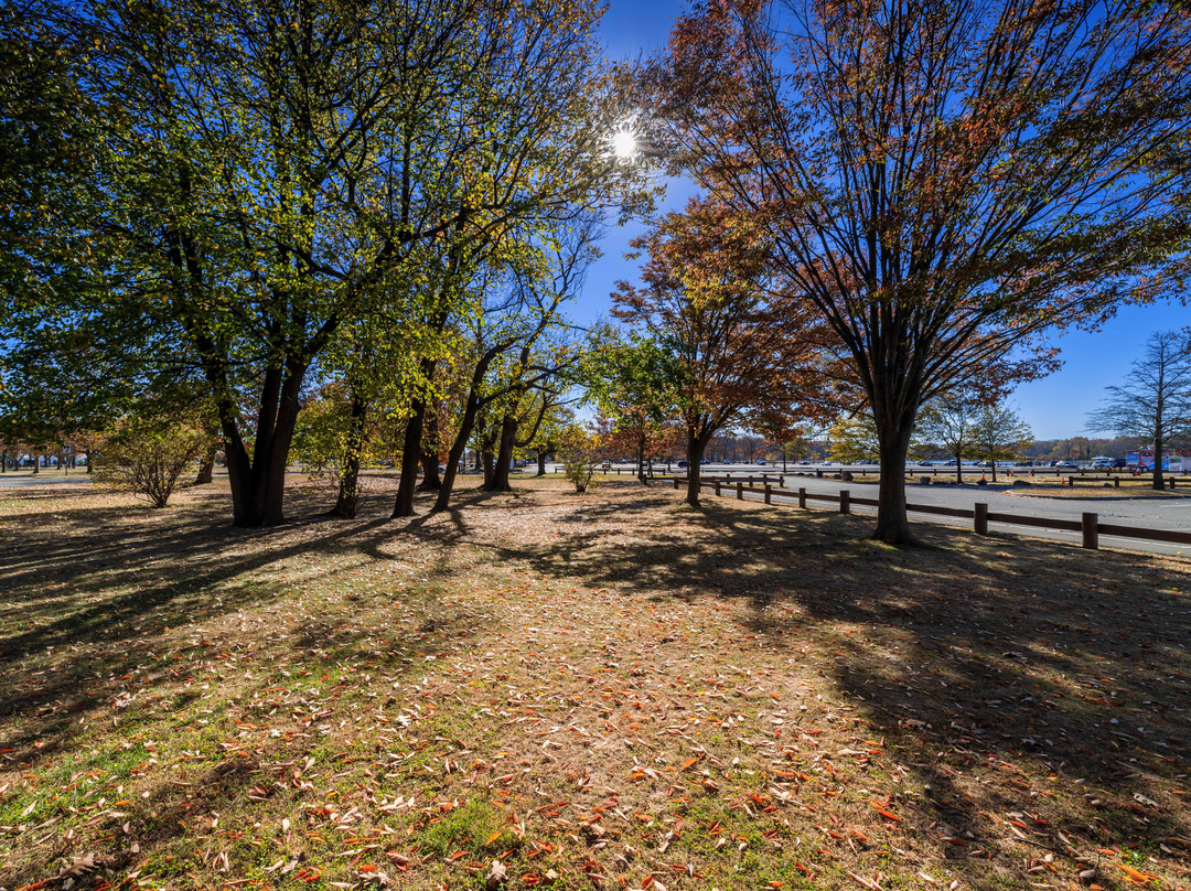 Glen Island Park景点图片