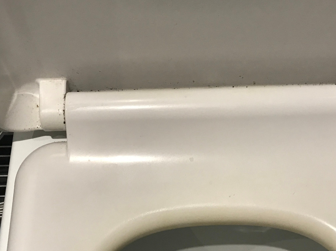 The Blackbirds主图