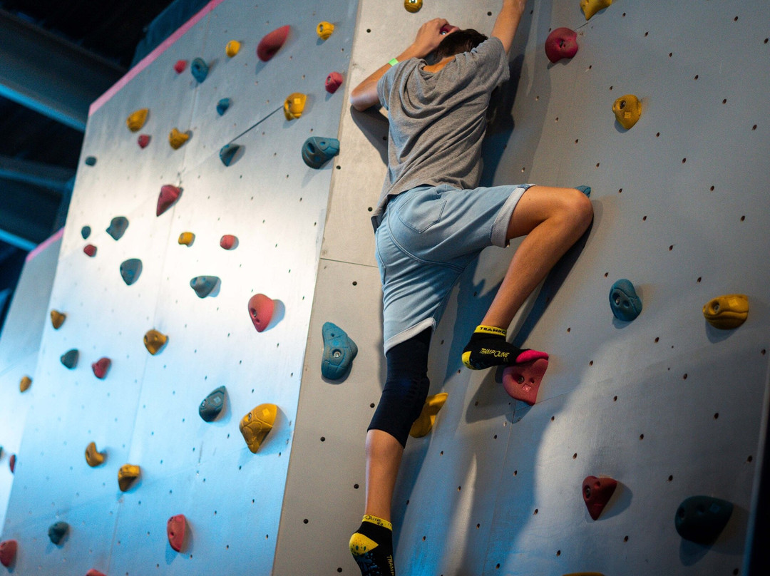 Trampoline44景点图片