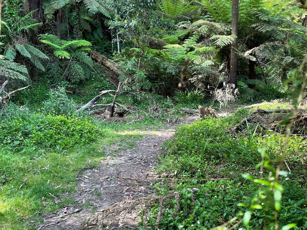 Baynes Park-蒙布克必去景点