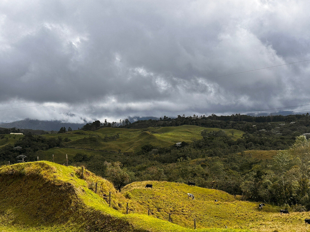 Hotel Bosques Del Samán - Alcalá主图